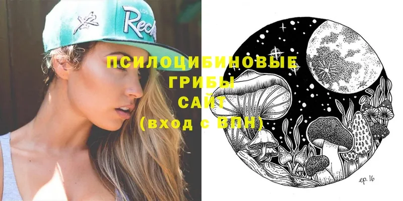 Псилоцибиновые грибы Cubensis  Севастополь 